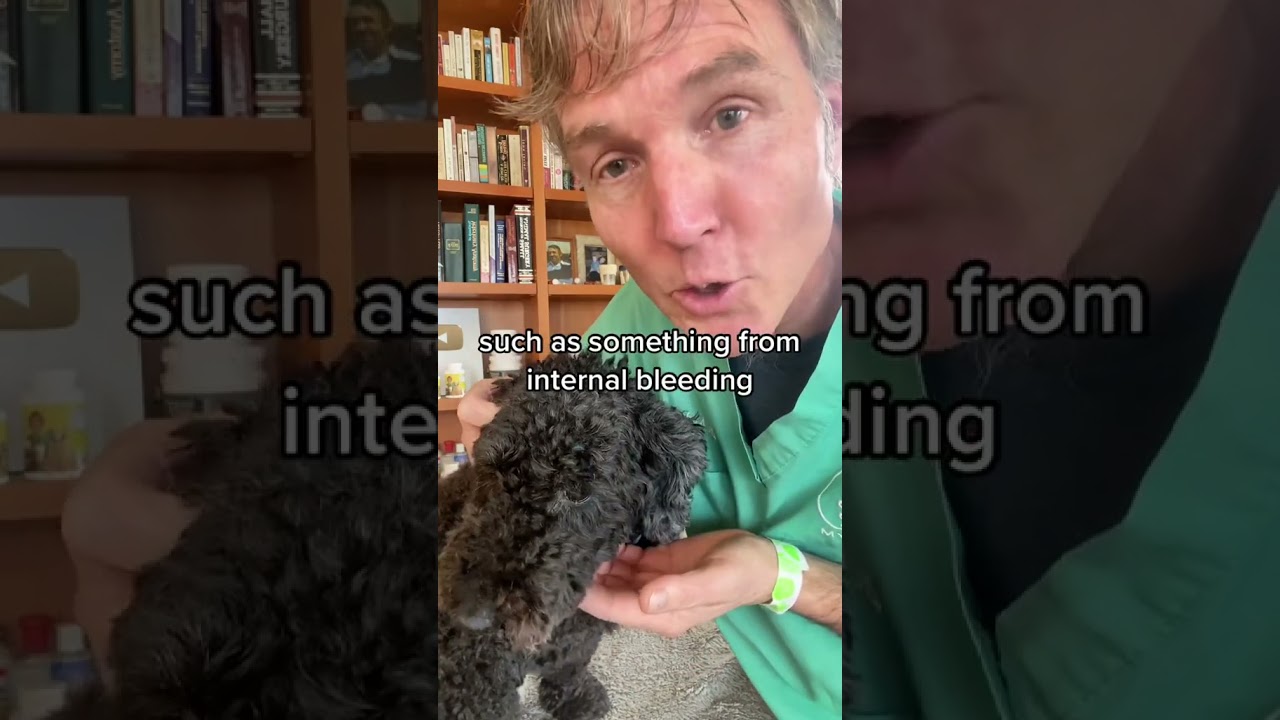 youtube placeholder image
