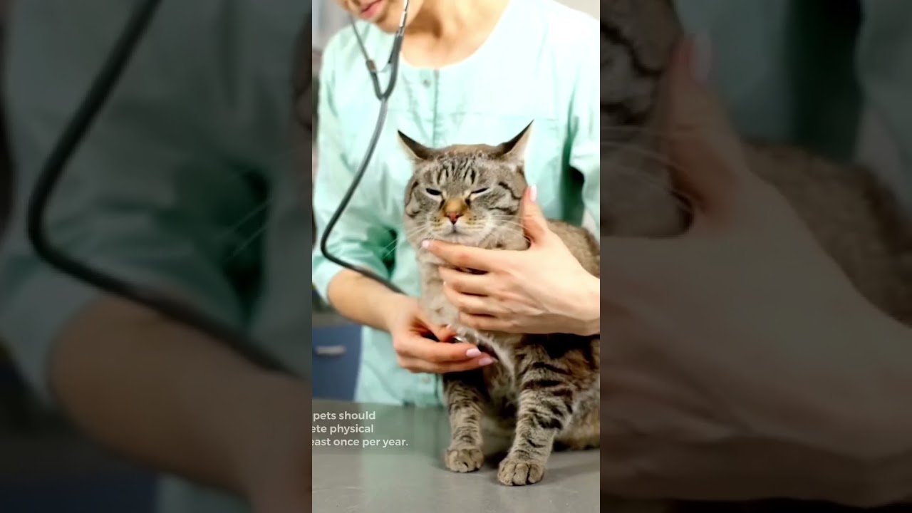 youtube placeholder image