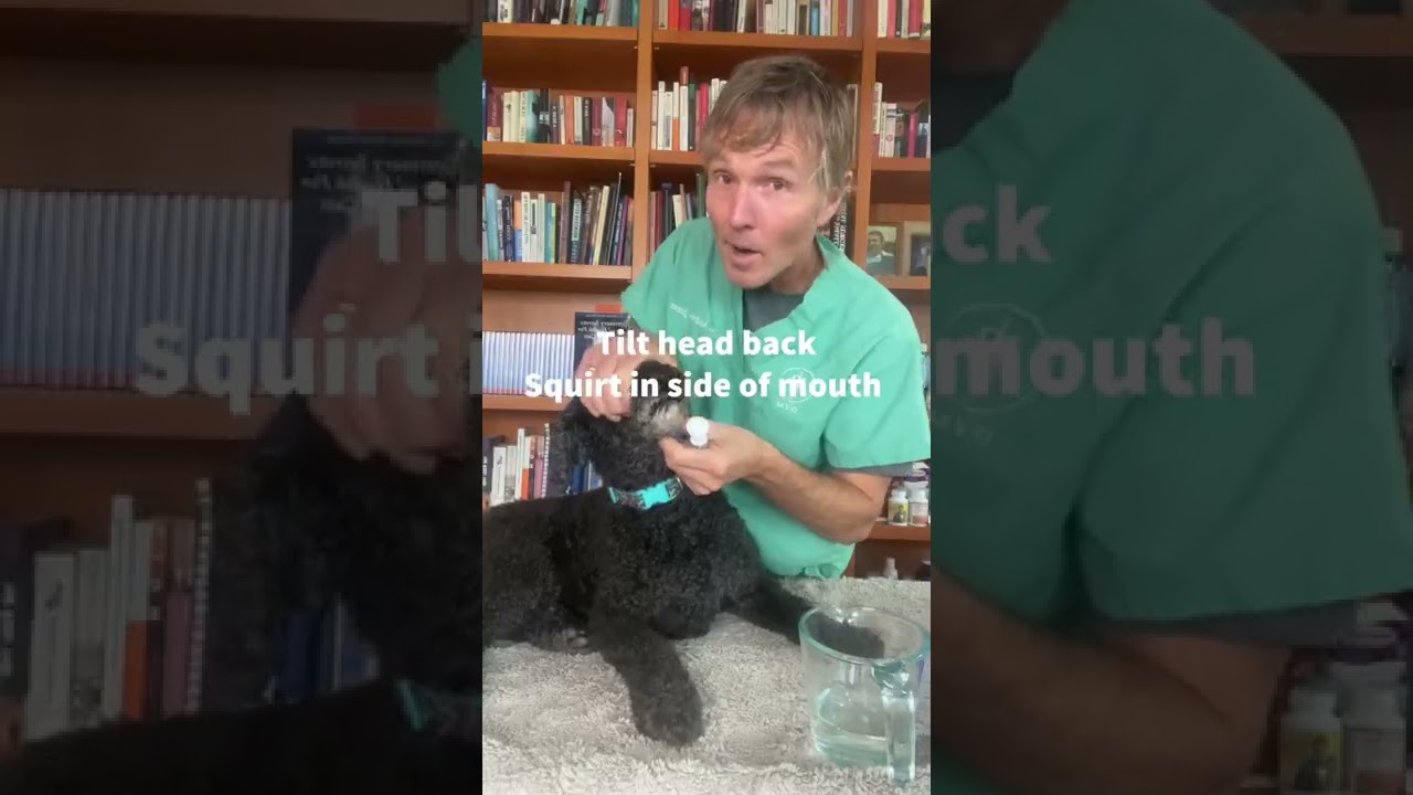 youtube placeholder image