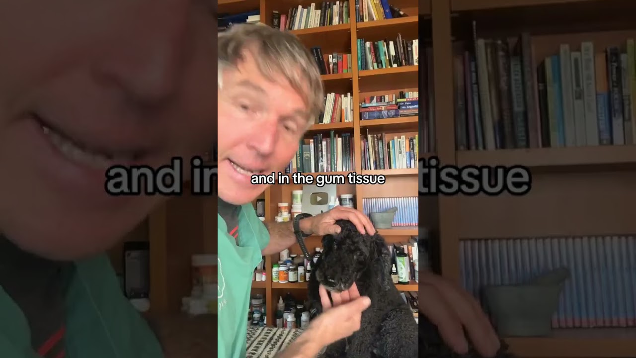 youtube placeholder image
