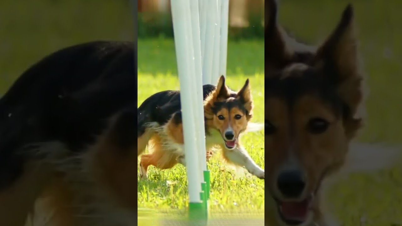 youtube placeholder image