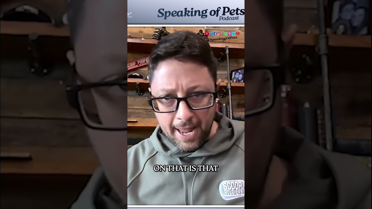 youtube placeholder image